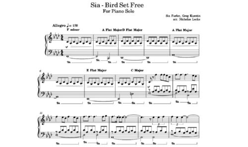 نت پیانو bird set free